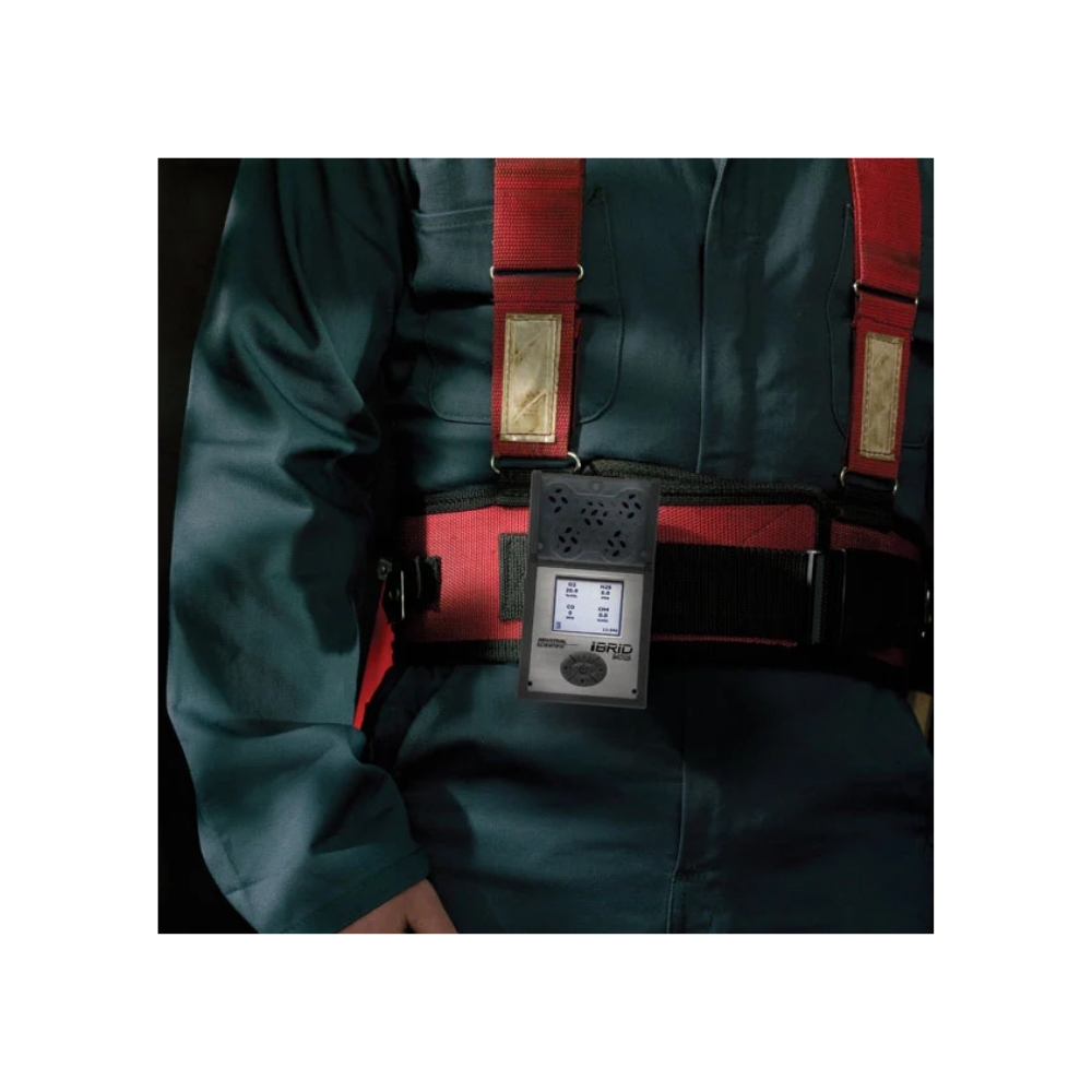 iBrid MX6 portable 6 gas detector